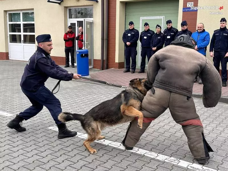 Katowiccy przewodnicy psów z pokazem w Szkole Policji