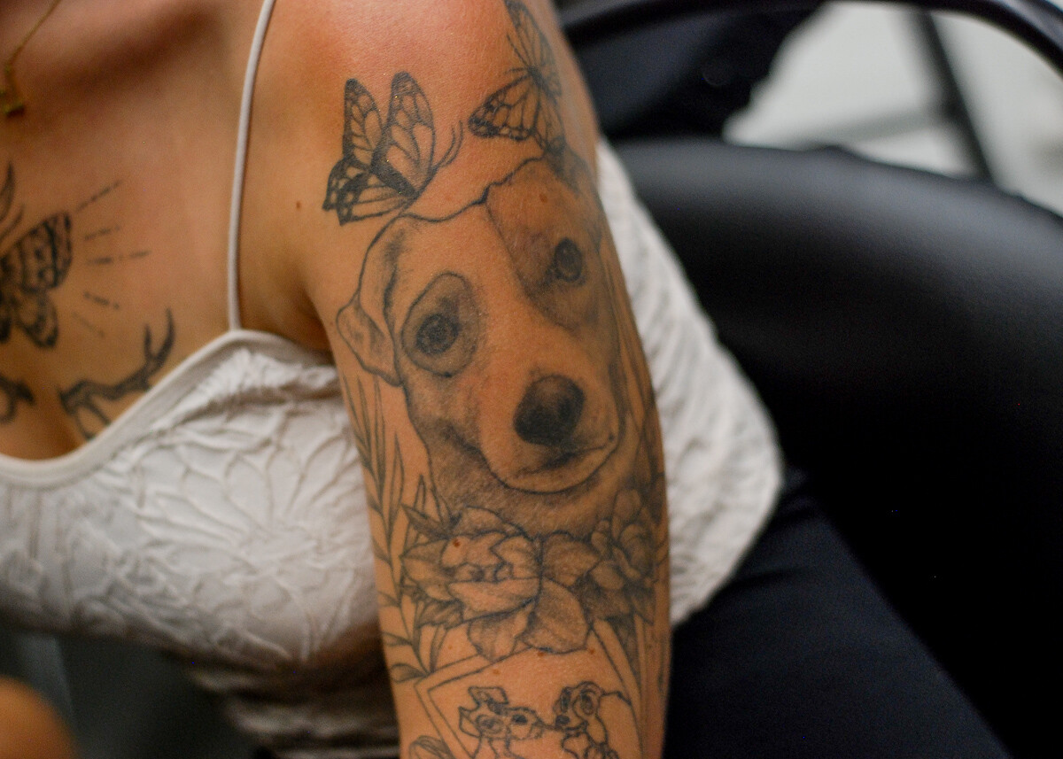 W MCK trwa właśnie TATTOO KONWENT, gdzie na własnej skórze można się przekonać o tym, czym jest sztuka tatuażu. Robi wrażenie!