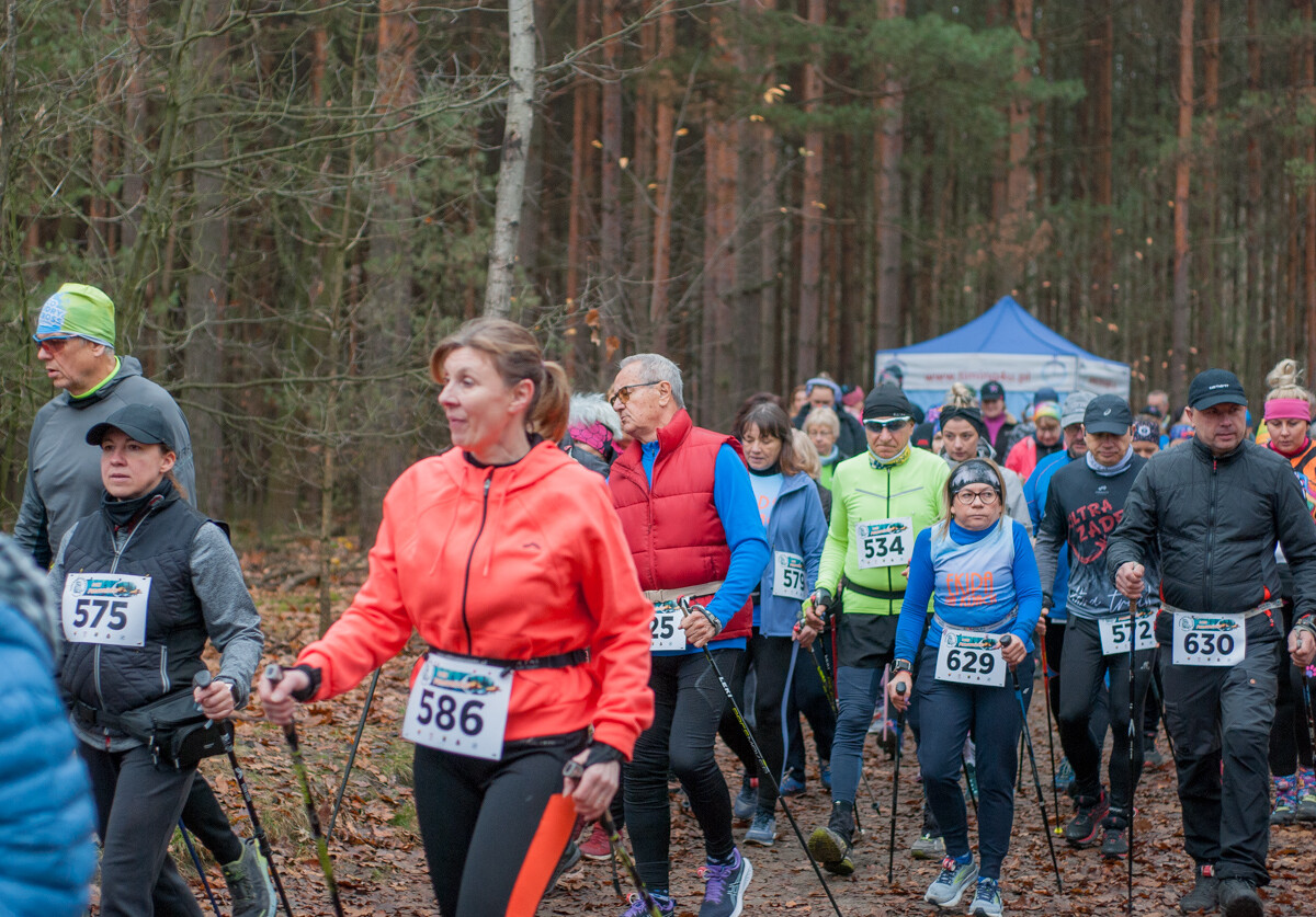 Za nami kolejna, listopadowa odsłona Panewnickiego Dzikiego Biegu. Kilkaset osób stawiło się na starcie, mamy zdjęcia!