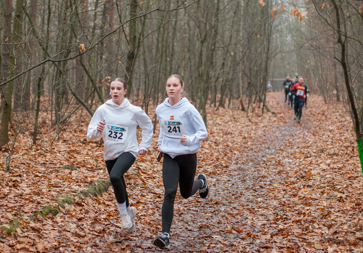 Za nami kolejna, listopadowa odsłona Panewnickiego Dzikiego Biegu. Kilkaset osób stawiło się na starcie, mamy zdjęcia!