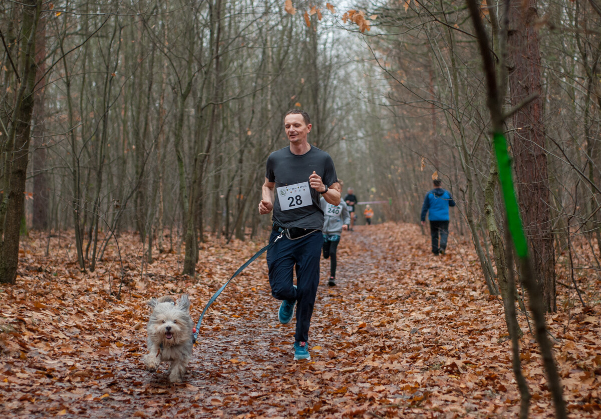 Za nami kolejna, listopadowa odsłona Panewnickiego Dzikiego Biegu. Kilkaset osób stawiło się na starcie, mamy zdjęcia!