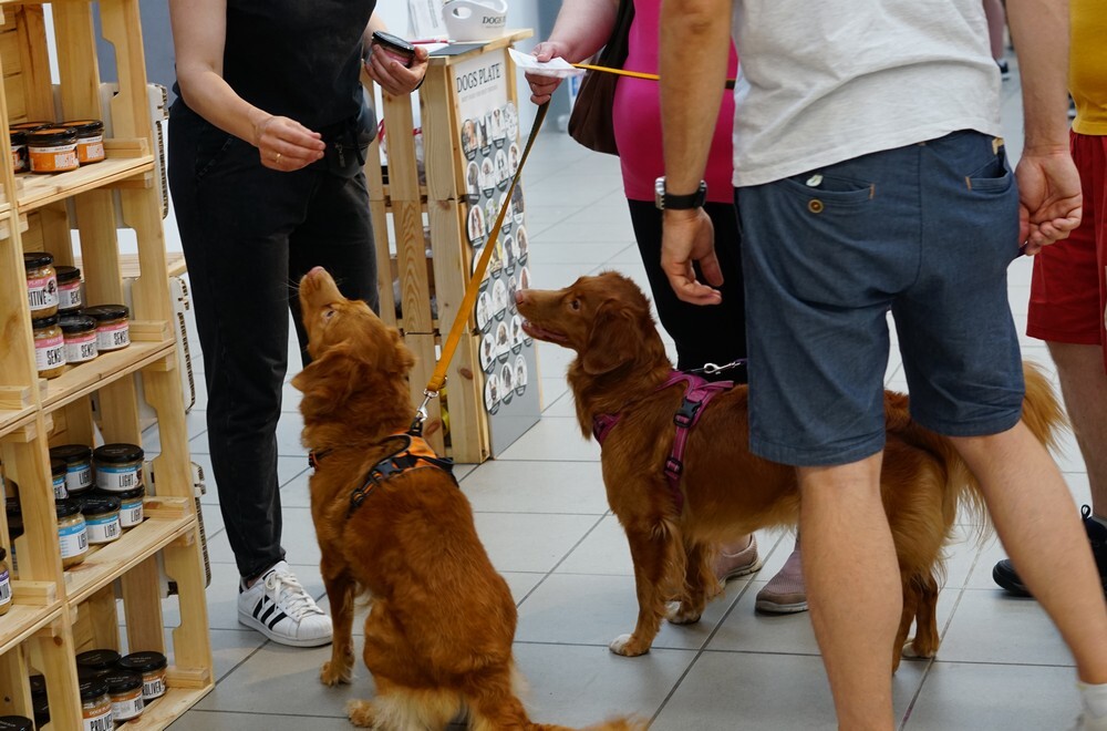 Pupilove Targi Katowice: każdy psiak otrzymał smakołyki