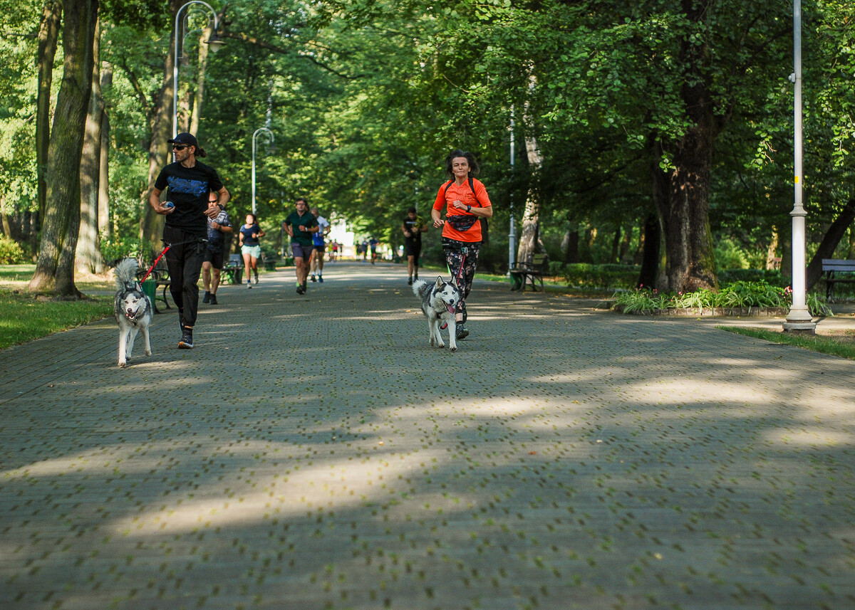 Kolejna, 370 już edycja biegu parkrun Katowice za nami. Ta była wyjątkowa, ponieważ została zorganizowana po śląsku. Było fest gryfnie!